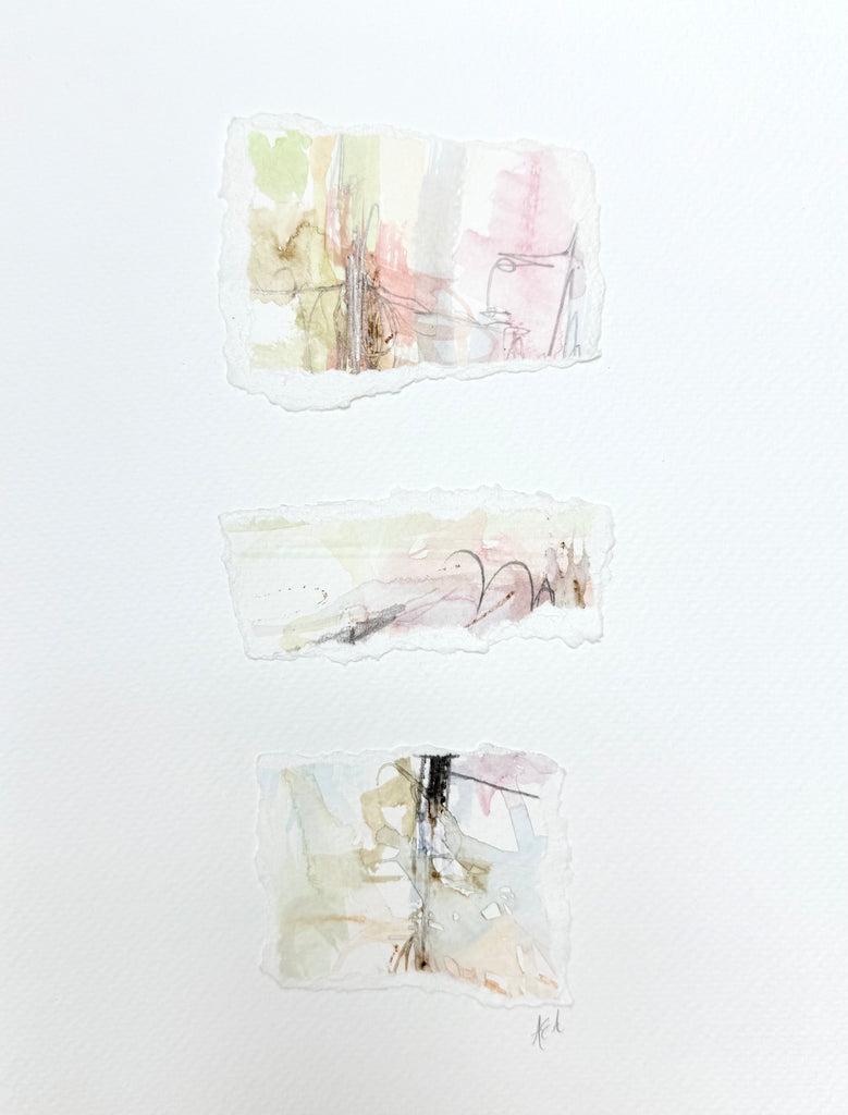 Carnations