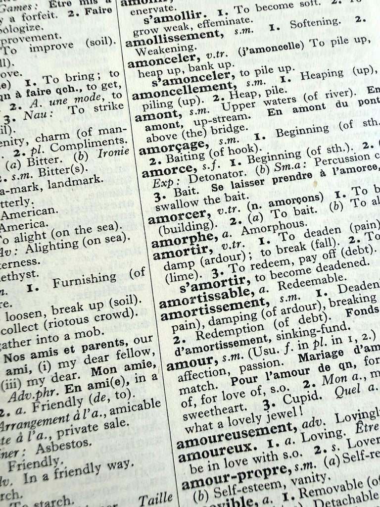 French and English Dictionary