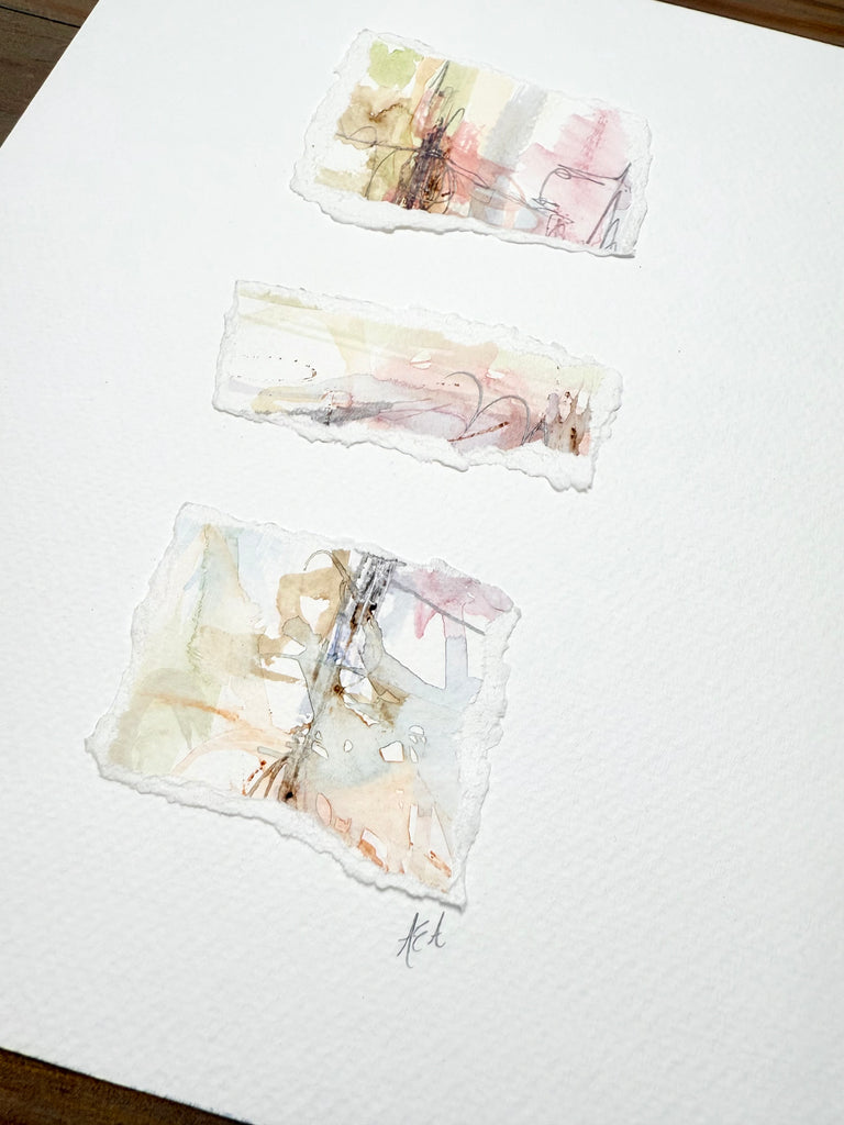 Carnations