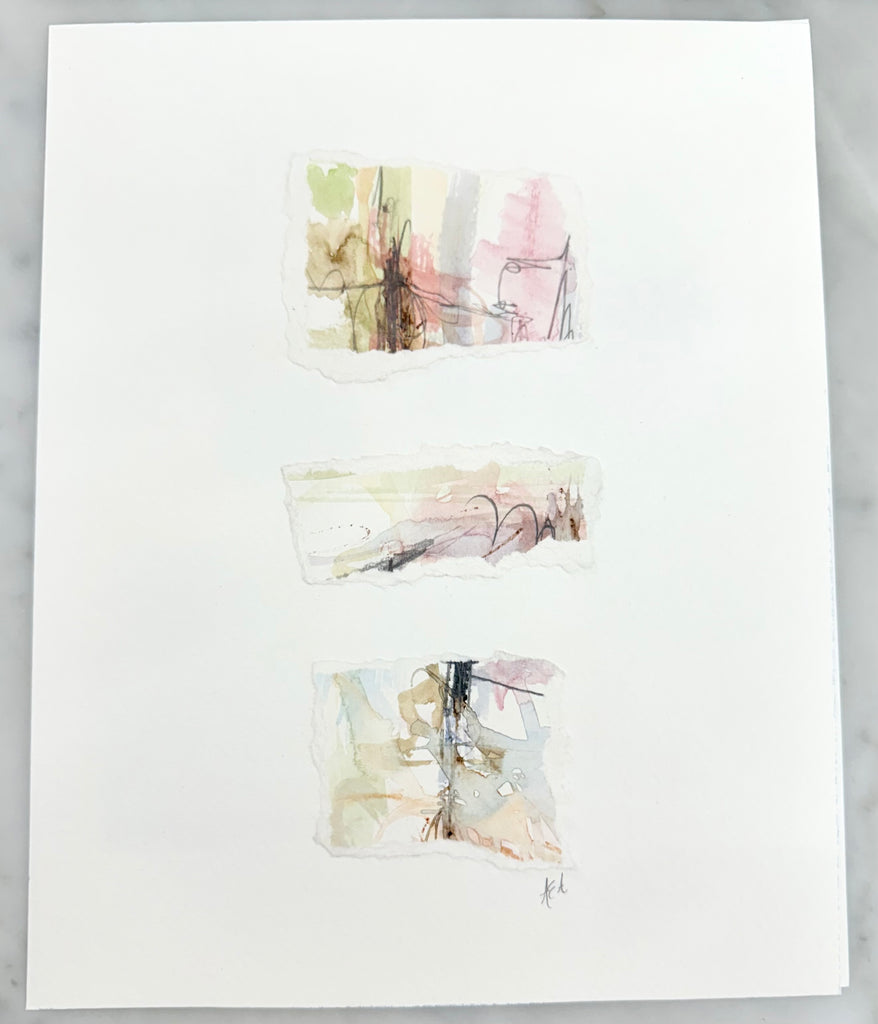 Carnations