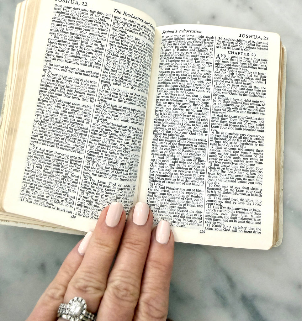 The Holy Bible