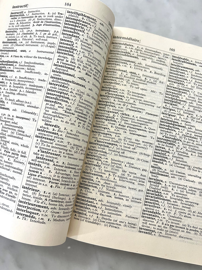 Concise French and English Dictionary